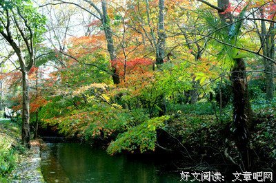 爱的冷寒优美的句子