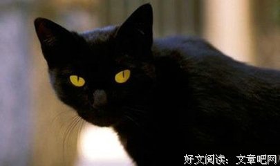 《临终的信托》经典观后感1000字