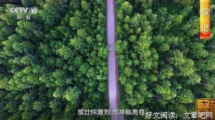 造人全过程，别不好意思看！