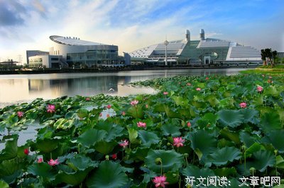 浙大情圣朱生豪丨在薄情的世界深情地活着