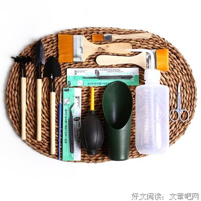 《瓦地的小号》读后感摘抄