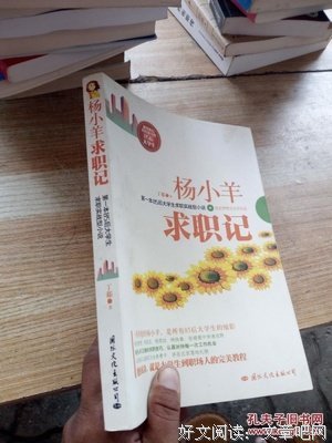 《杨小羊求职记》读后感100字