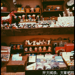 《荒人手记》经典读后感有感