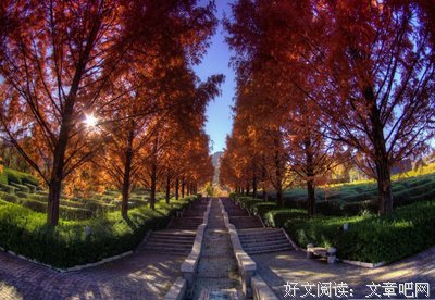 关于心灵感悟的优美句子