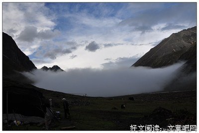 有关懵懵爱情似梦的句子