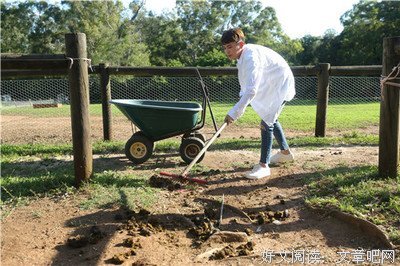 关于小木风风风的句子