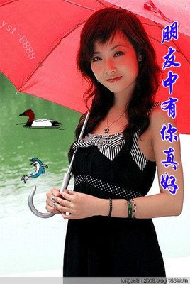 龙爷句集的句子