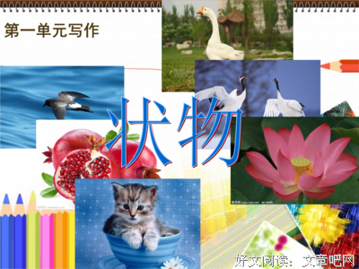夏夜听风好词好句