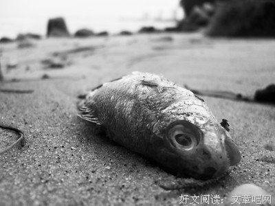 描写如梦初醒的语句摘抄