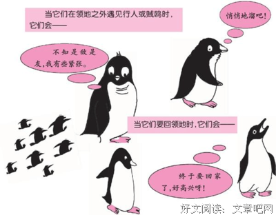 有关妙趣横生的美文美句摘抄