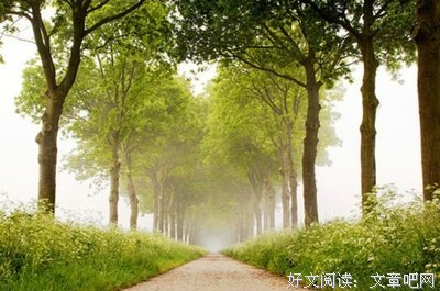 关于不为所动的语句
