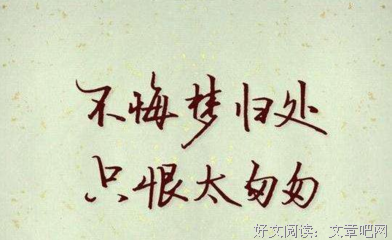 我不能飞的句子