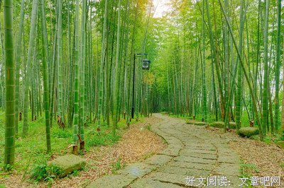 关于秦时明出不的优美句子