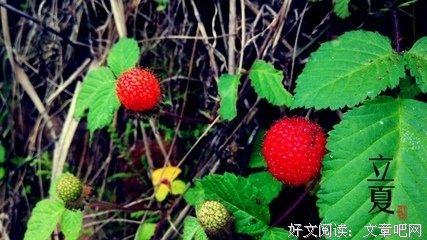 哲然事经典名句
