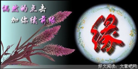 淡笺素语 、静书流年