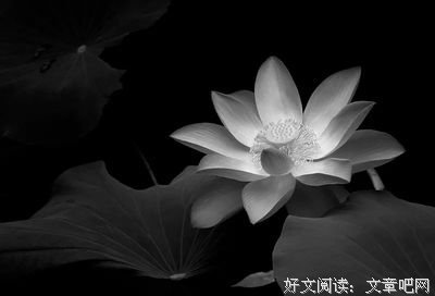 恍若梦中一相逢名句欣赏