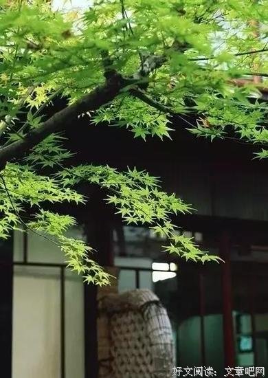 人间三千事，淡然一笑间 