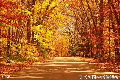 人生，没有下一次！（看哭了）