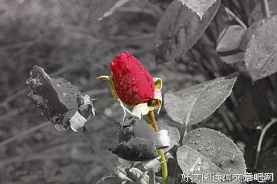 关于停滞不前的语句