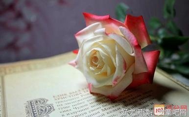 唐七公子名句欣赏