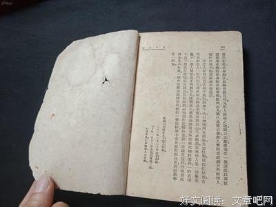 《月下小景》的读后感大全