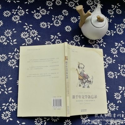 《新千年文学备忘录》读后感摘抄
