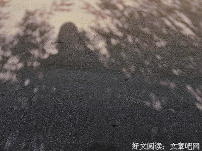 我与春风皆过客，你携秋水揽星河