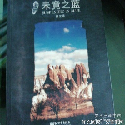 《未竟之蓝》读后感1000字