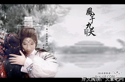 《凤于九天》经典观后感有感