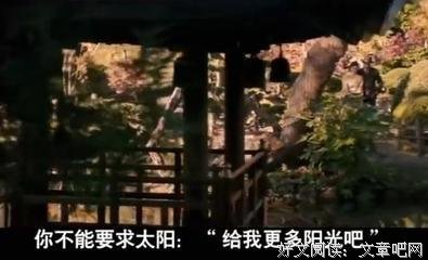 《男艺伎回忆录》观后感摘抄