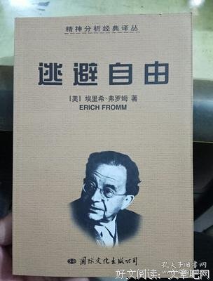 逃避自由读后感锦集