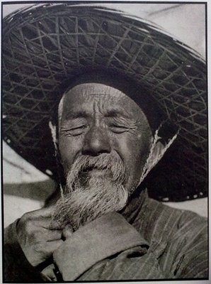 《北平表情》读后感锦集