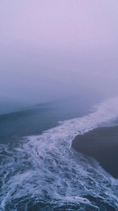 杂七杂八的句子