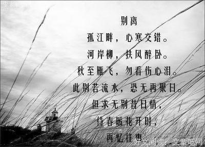 偶遇美句的优美句子