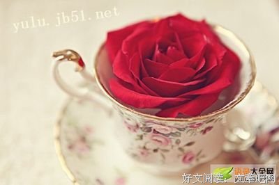 不看不听不说句子大全