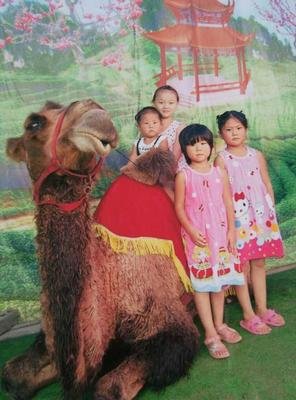 “婆家不待见，妈妈劝我赶紧生个娃”