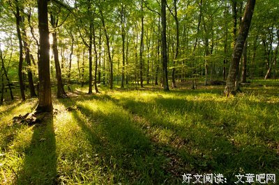 郁郁葱葱的名句_关于郁郁葱葱的名句