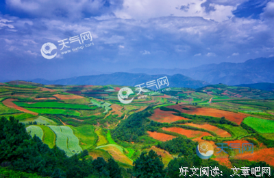 怅然若失的语句摘抄_关于怅然若失的语句