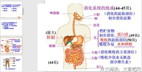 有关新陈代谢的美文美句摘抄