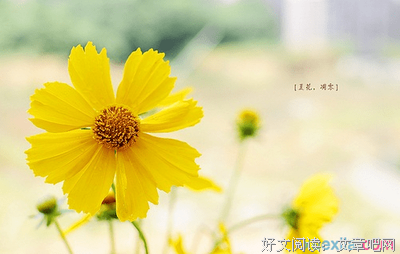 描写你来我往的语句摘抄