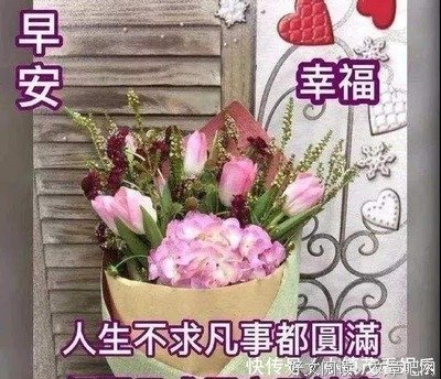 《暖心吟》的句子