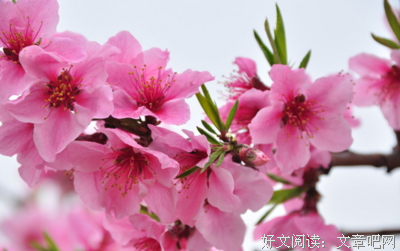 《自立》读后感精选