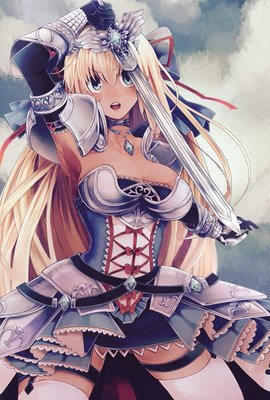 异邦骑士读后感100字