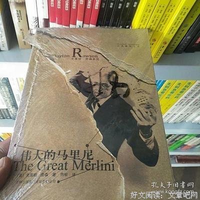 伟大的马里尼读后感锦集
