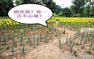 《51区》观后感100字