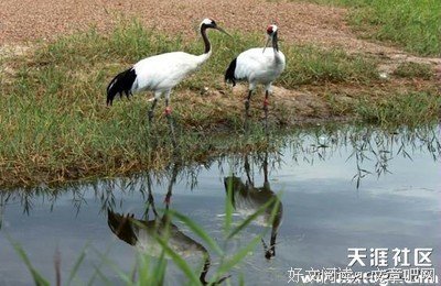 《丝丝心动》的观后感大全