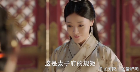 《大明嫔妃之美人计》观后感100字