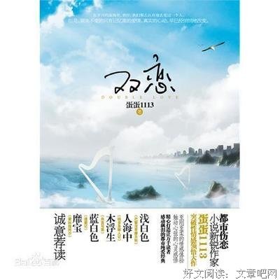 《我爱上了双胞胎》小说书摘大全