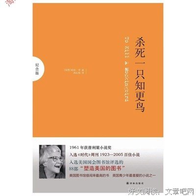 《杀死一只反舌鸟》读后感精选