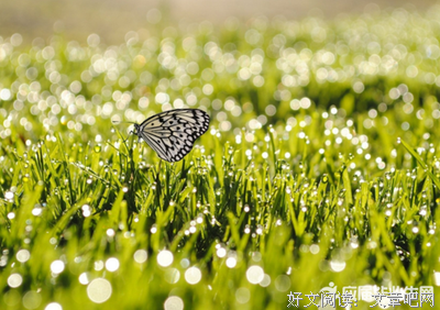 关于勇敢的优美句子